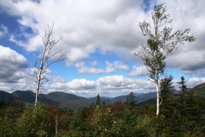 Another year, another hike (2008)