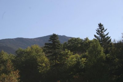 IMG_5295.JPG