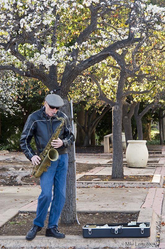 Balboa park saxaphone man