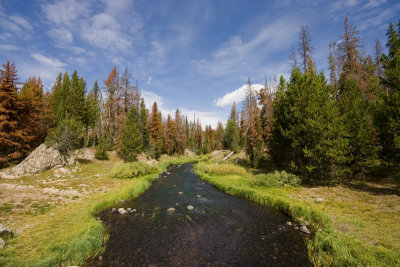 On The Road / Between National Parks