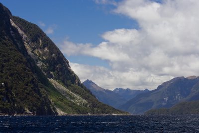 _MG_8240.jpg