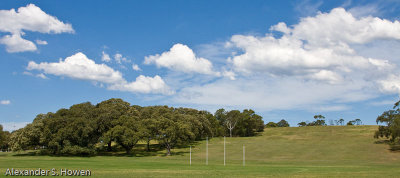 Moore Park playing fields