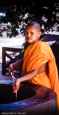 Young monk