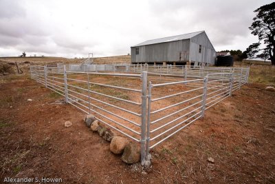 Sheep pen and shed