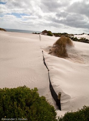 Sand dune stabilisation
