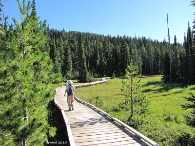 Mt-Washington B.C.