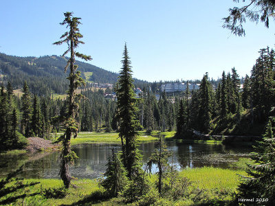 Mt-Washington B.C.