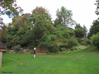 Filberg Park, Comox B.C.