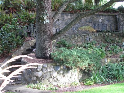 Filberg Park, Comox B.C.