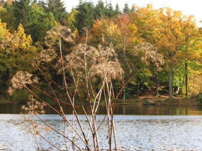 The pond at Klverd IV