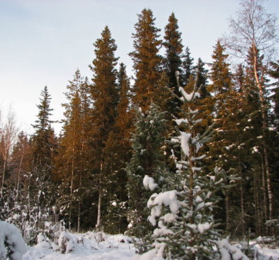 g1/00/739000/3/106164092.ufk77b9U.jpg