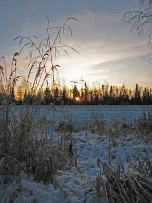 g1/00/739000/3/106164095.orrGESSn.jpg