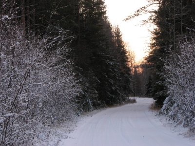 November 2008