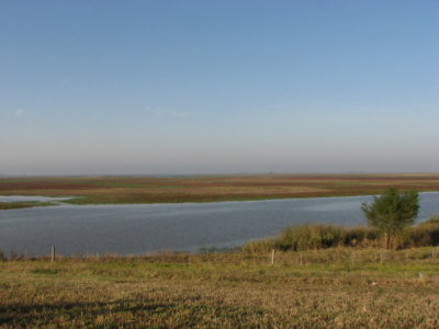 IMG_6740.JPG