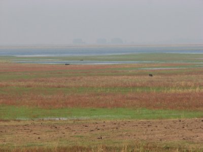IMG_6741.JPG