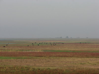 IMG_6748.JPG