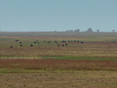 IMG_6750.JPG