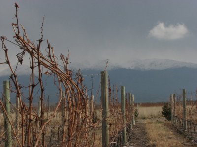 Bodega Salentein