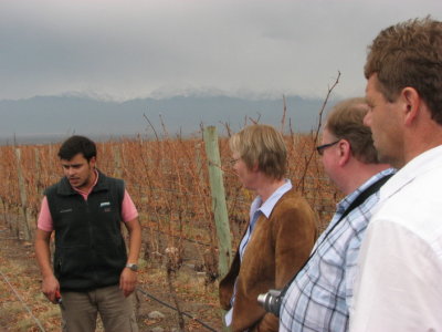 Bodega Salentein