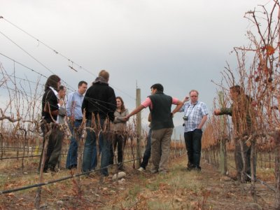 Bodega Salentein