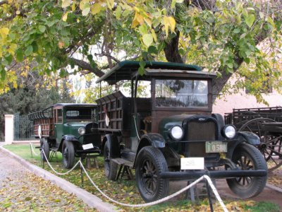 Bodega Rural