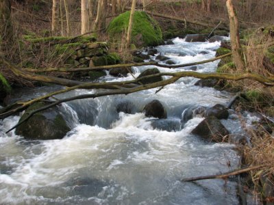 Tjute creek V