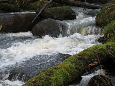 Tjute creek VI
