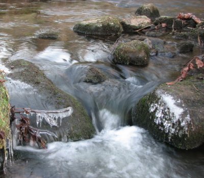 Tjute creek detail I