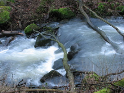 Tjute creek