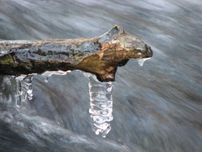 Iceicle