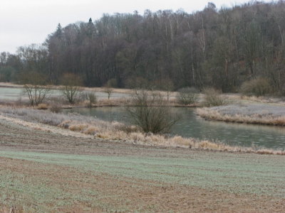 Ice on the pond I