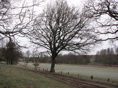 A bit of frost