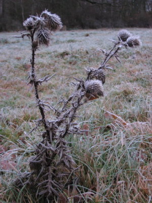 December 2008