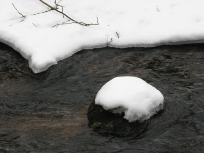 Tjute creek III