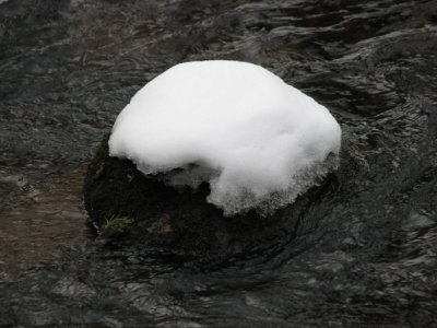Tjute creek IV