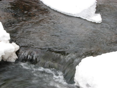 Tjute creek VI