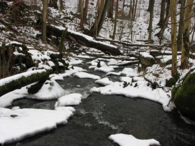 Tjute creek II