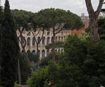 Colosseo from palatino