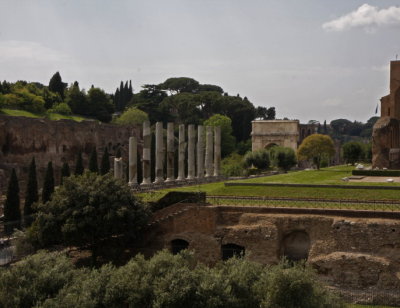 Columns and Arco di Tito from Colosseo