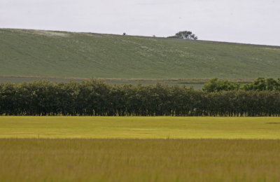 g1/00/739000/3/114067936.UWxGvsDu.jpg