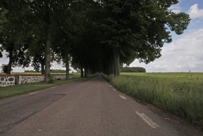 The avenue of Spargott I
