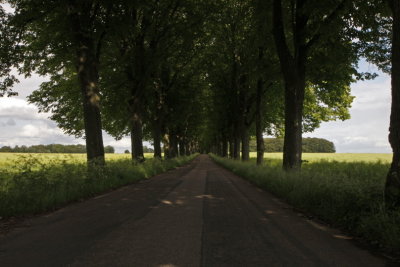 The avenue of Spargott II