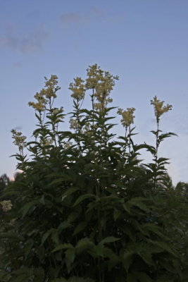 g1/00/739000/3/115380362.VKyA55Fg.jpg