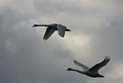 g1/00/739000/3/116908712.5qnqxogN.jpg