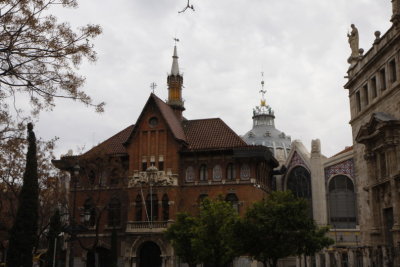 _MG_0515.JPG