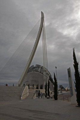 _MG_0556_1.jpg