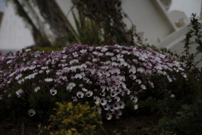 _MG_0602.JPG