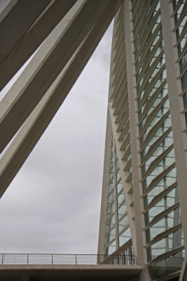 _MG_0618_1.jpg