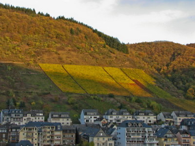 Setting sun Cochem I
