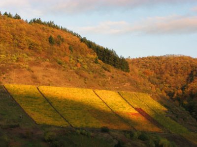 Setting sun Cochem II